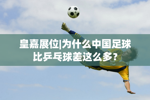 乓球桌和专